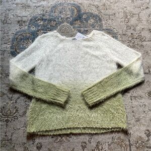 Absolutely Creative World Wide Ombré Sweater